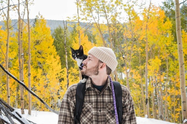 why does my cat jump on my back?
