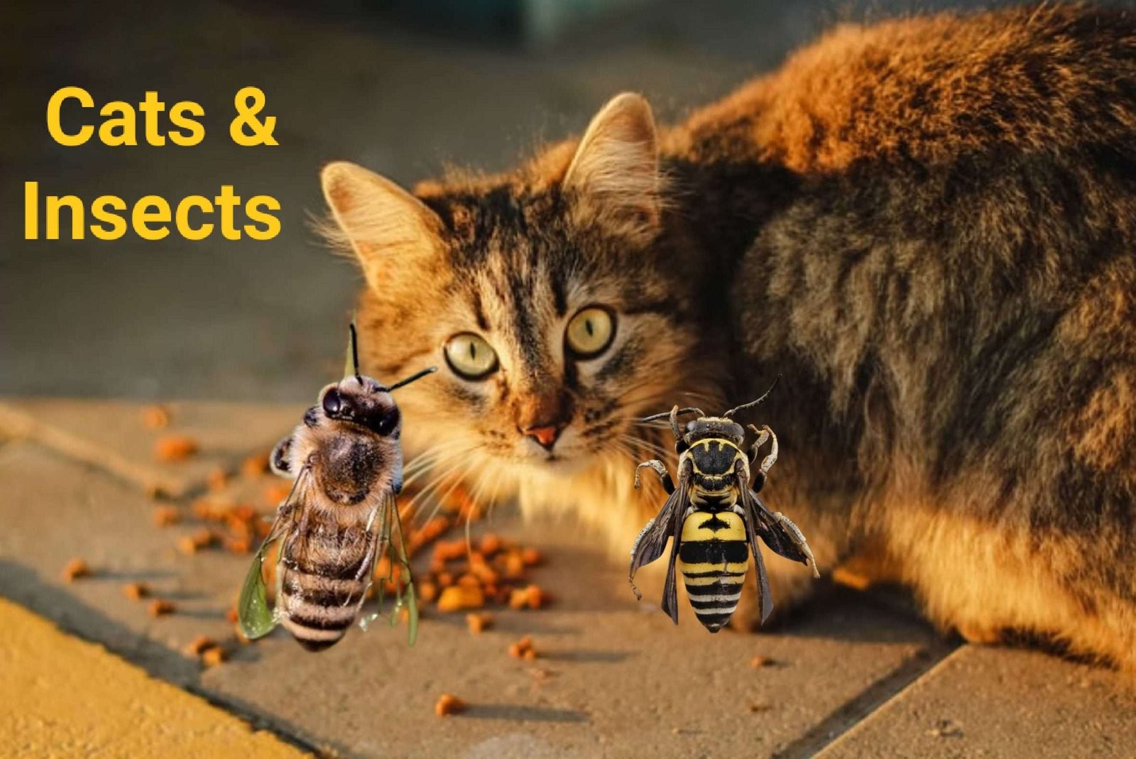 Is It Safe For Cats To Eat Insects?