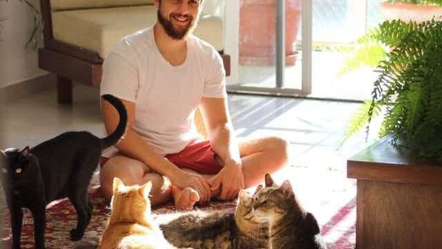 How Much Attention Do Cats Need?