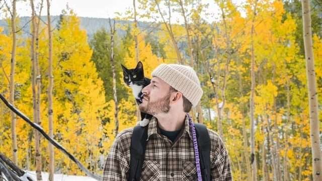 why does my cat jump on my back?
