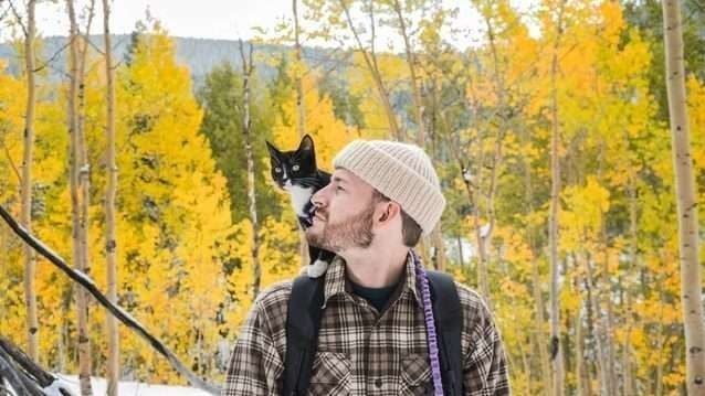 why does my cat jump on my back?