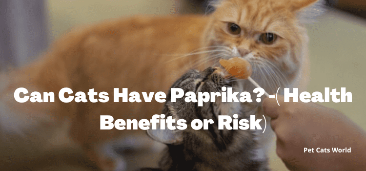 can cats have paprika