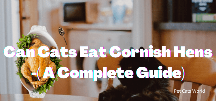 Can cats eat cornish hens