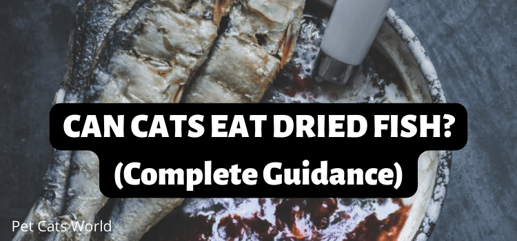 CAN CATS EAT DRIED FISH