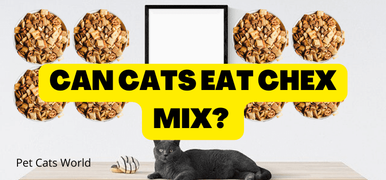 CAN CATS EAT CHEX MIX?