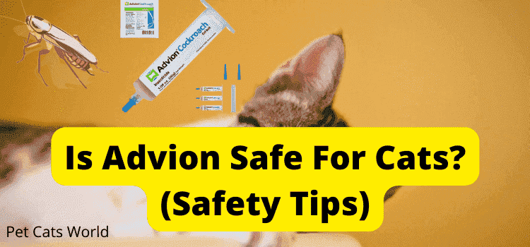 is advion safe for cats?