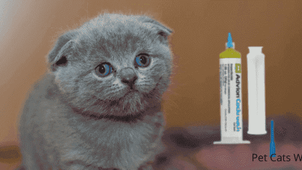 is advion safe for cats?