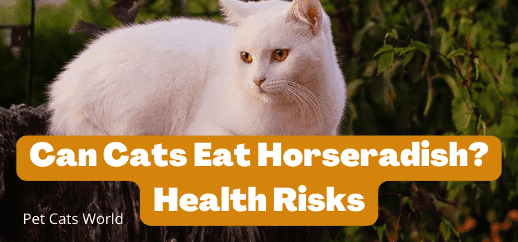 Can Cats Eat Horseradish?