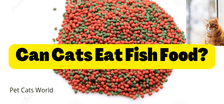 can cats eat fish food