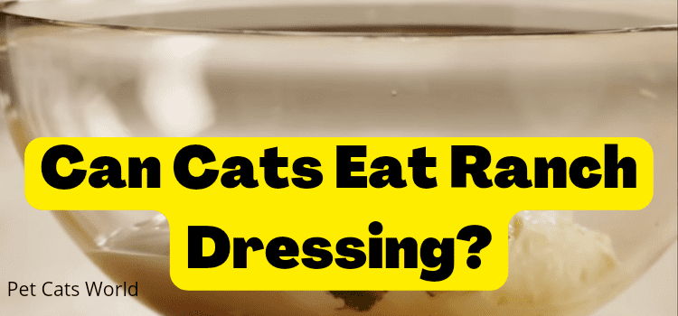 can cats eat ranch dressing