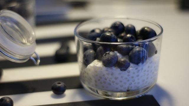 can cats eat tapioca
