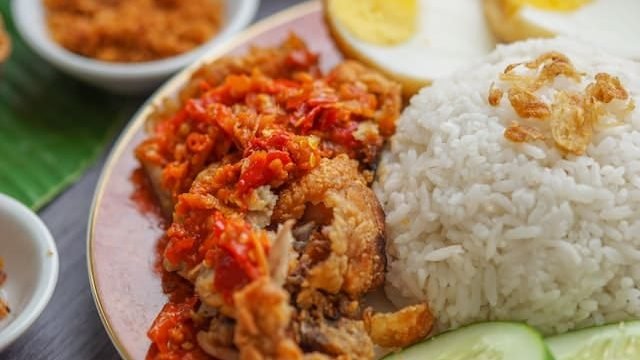 can cats eat rice and chicken
