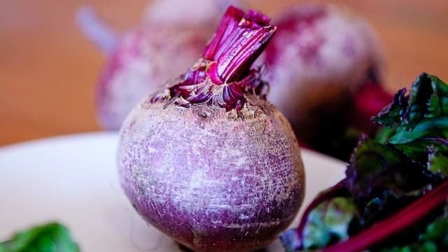 can cats eat beetroot