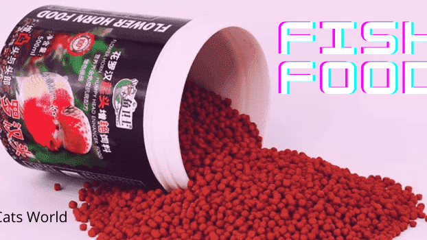 can cats eat fish food