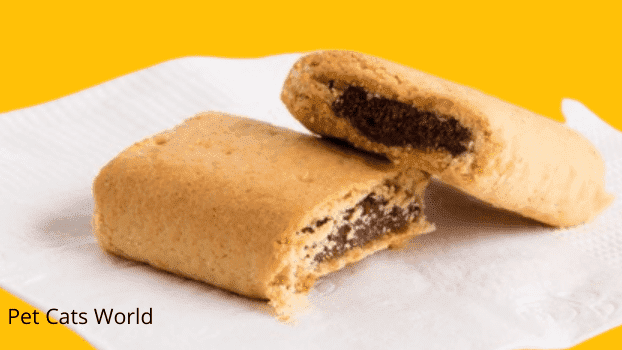 Can Cats Eat Fig Newtons?