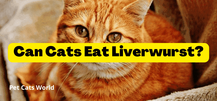 can cats eat Liverwurst