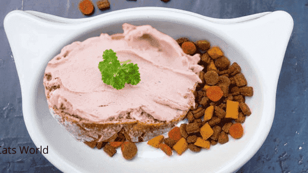can cats eat Liverwurst