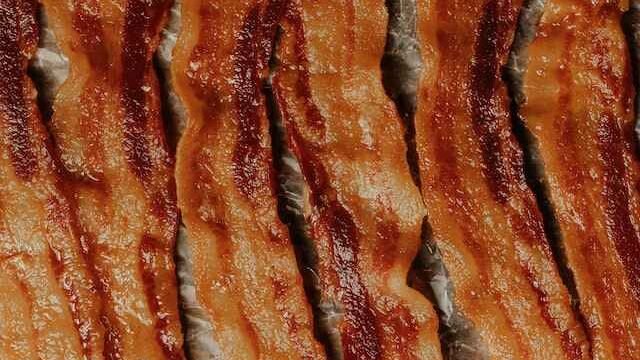 can cats eat turkey bacon
