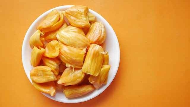 can cats eat jackfruit