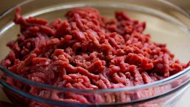 can cats eat ground beef