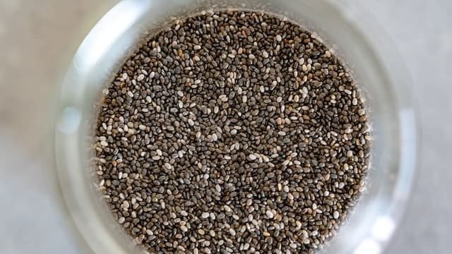 can cats eat chia seeds