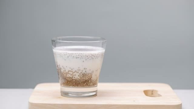 can cats eat chia seeds