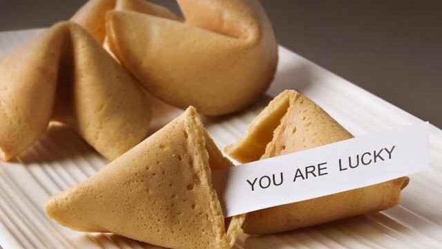 Can Cats Eat Fortune Cookies