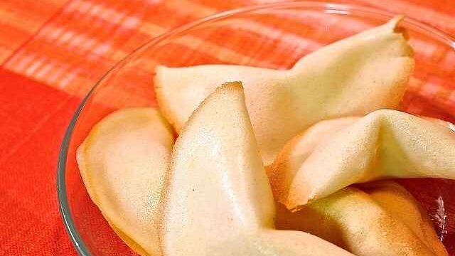 Can Cats Eat Fortune Cookies