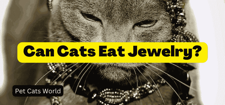 can cats eat jewelry