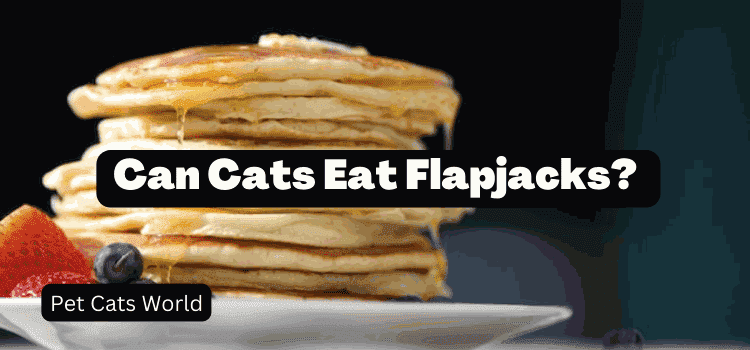can cats eat flapjacks