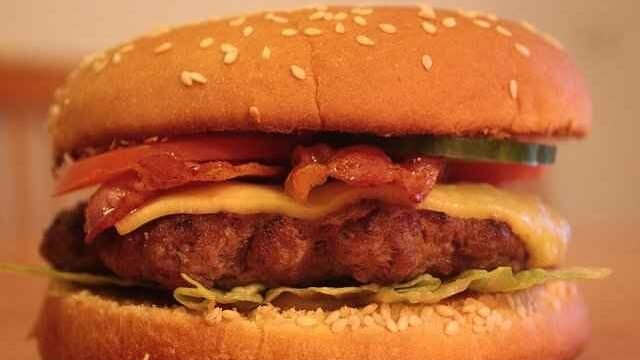 can cats eat ground beef