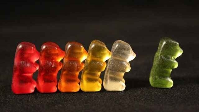 Can Cats Eat Gummy Bears