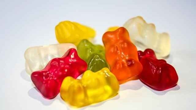 Can Cats Eat Gummy Bears?