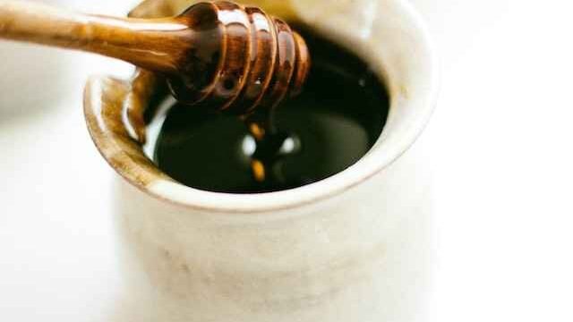can I give my cat molasses?
