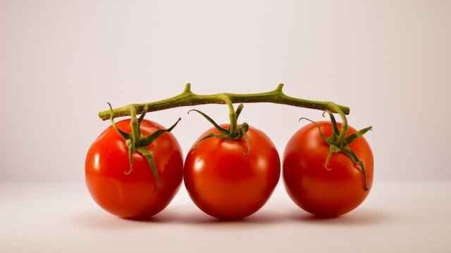 Can Cats Eat Baby Tomatoes