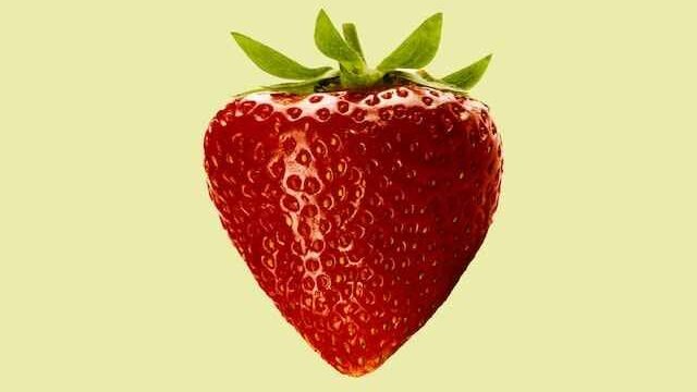 Can cats eat strawberries