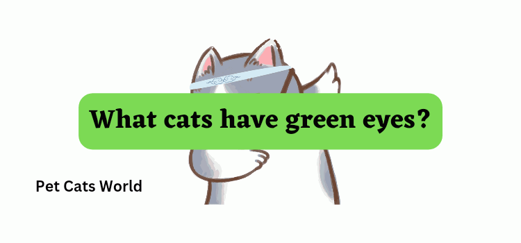 What cats have green eyes