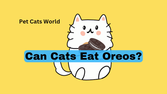 Can Cats Eat Oreos