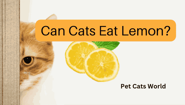 can cats eat lemon