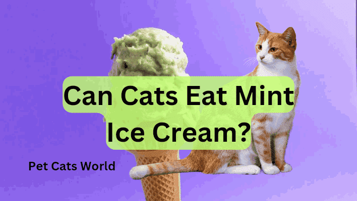 can cats eat mint ice cream