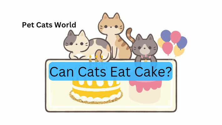 can cats eat cake