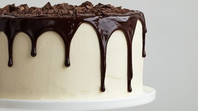 can cats eat cake